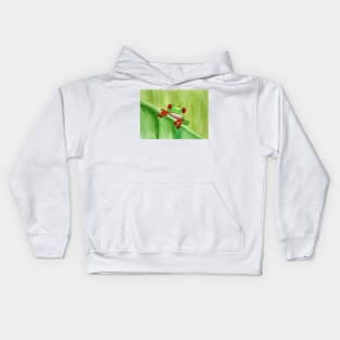 Green and red frog Kids Hoodie